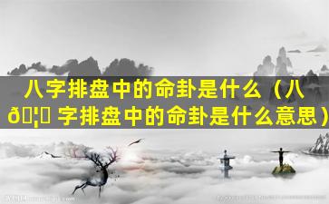 八字排盘中的命卦是什么（八 🦊 字排盘中的命卦是什么意思）